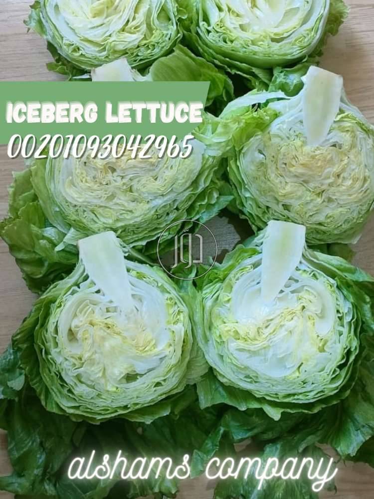 صور محاصيل وبذور زراعية في السعودية - دوّر.كوم