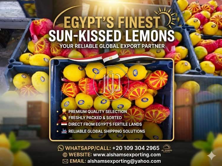 محاصيل زراعية في السعودية - دوّر.كوم