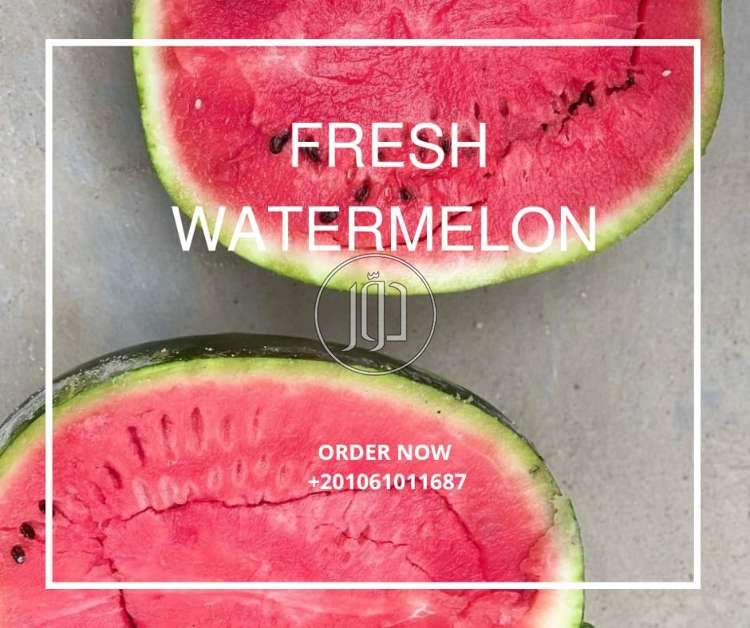 صور محاصيل وبذور زراعية في السعودية - دوّر.كوم