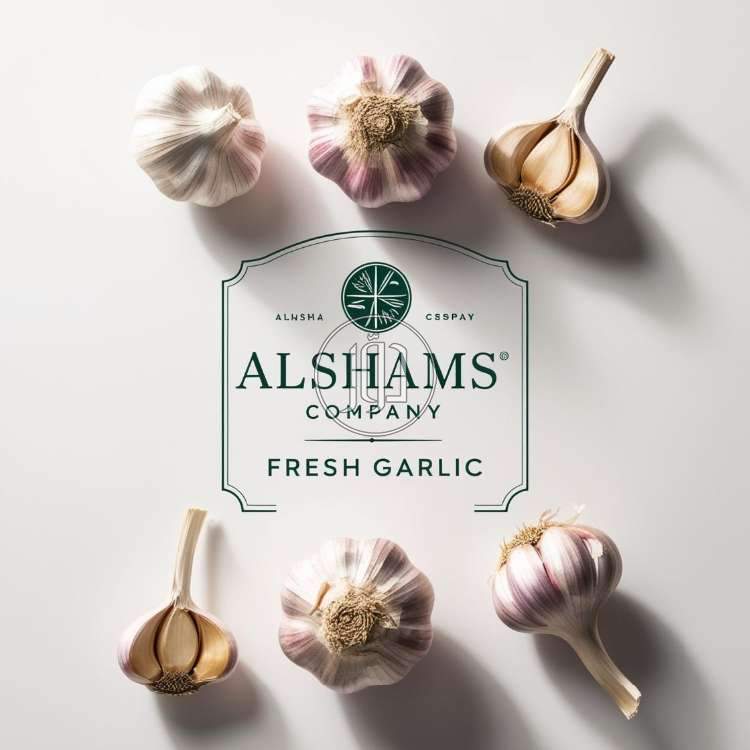 Fresh Garlic