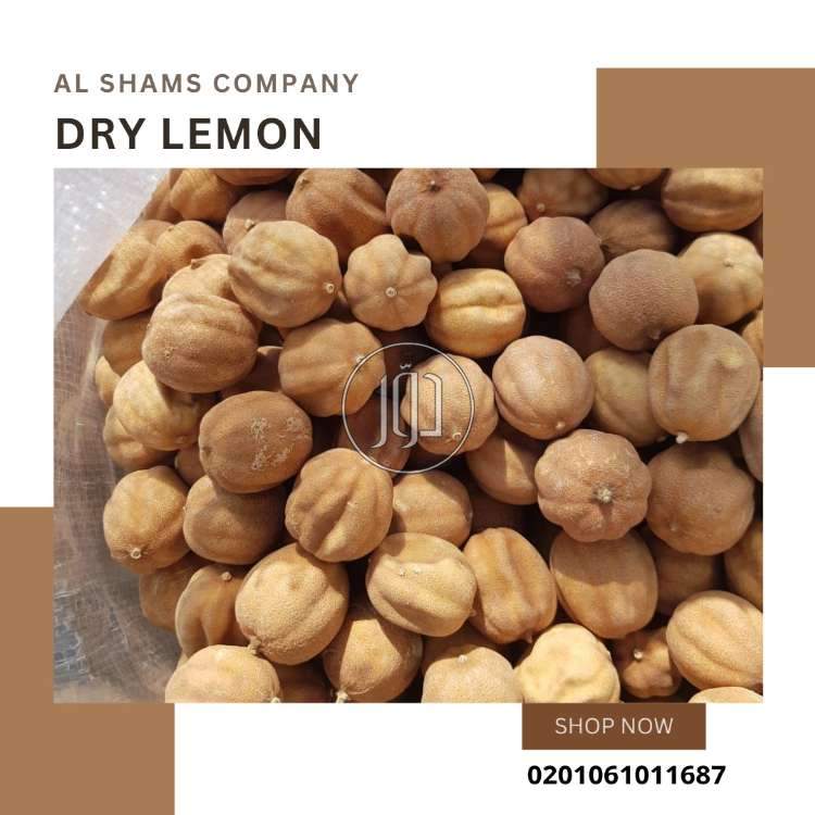 صور محاصيل وبذور زراعية في السعودية - دوّر.كوم