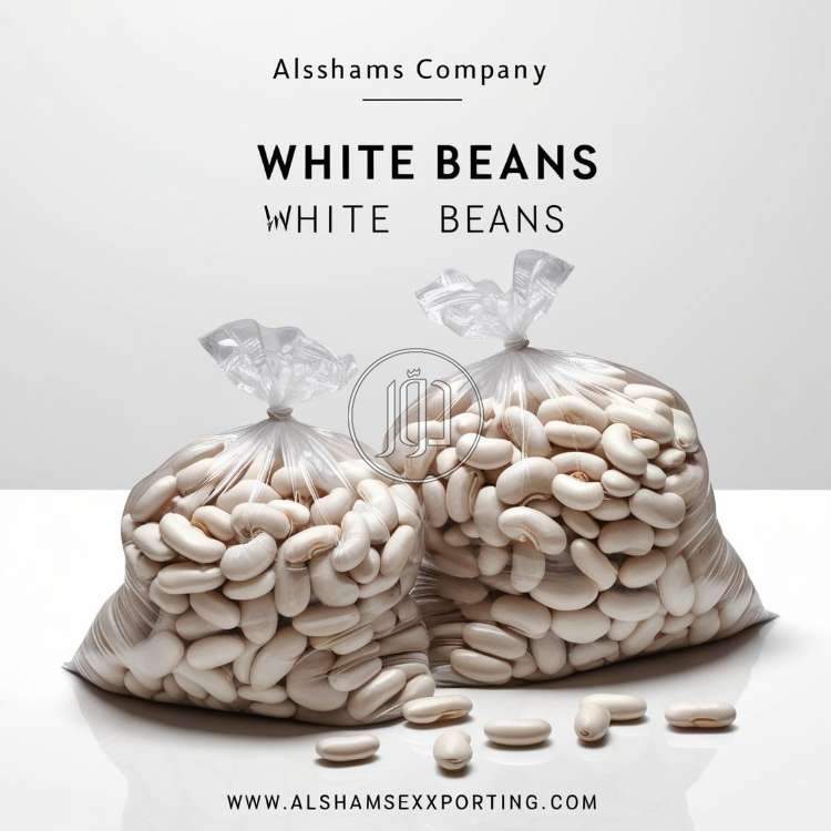 صور محاصيل وبذور زراعية في السعودية - دوّر.كوم