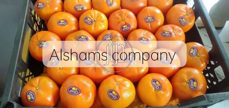 صور محاصيل وبذور زراعية في السعودية - دوّر.كوم