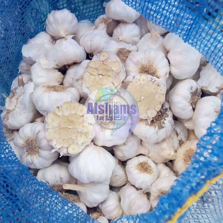 صور محاصيل وبذور زراعية في السعودية - دوّر.كوم