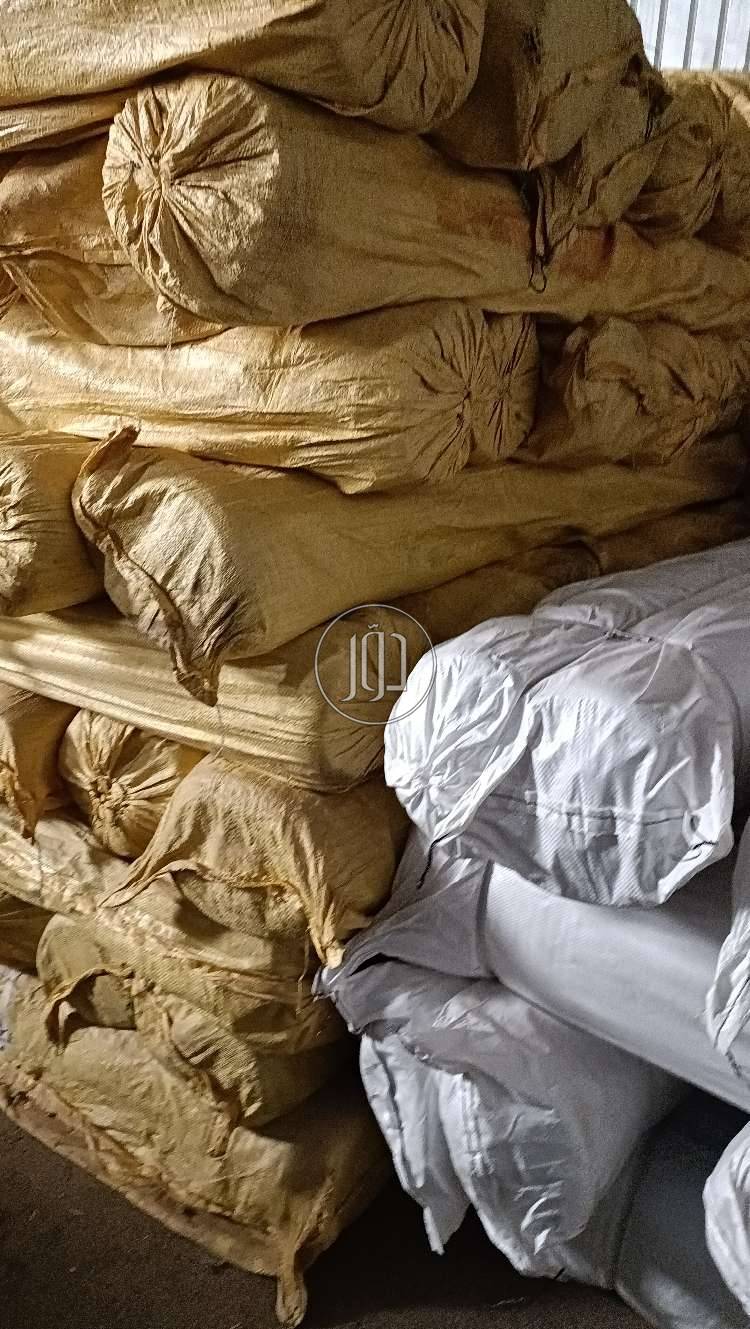 صور محاصيل وبذور زراعية في القصيم - دوّر.كوم