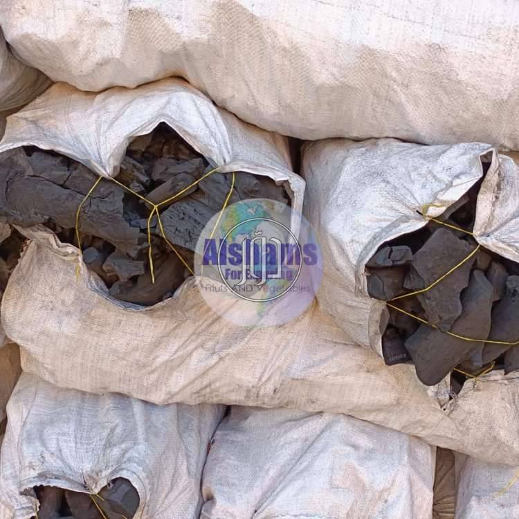 صور محاصيل وبذور زراعية في السعودية - دوّر.كوم