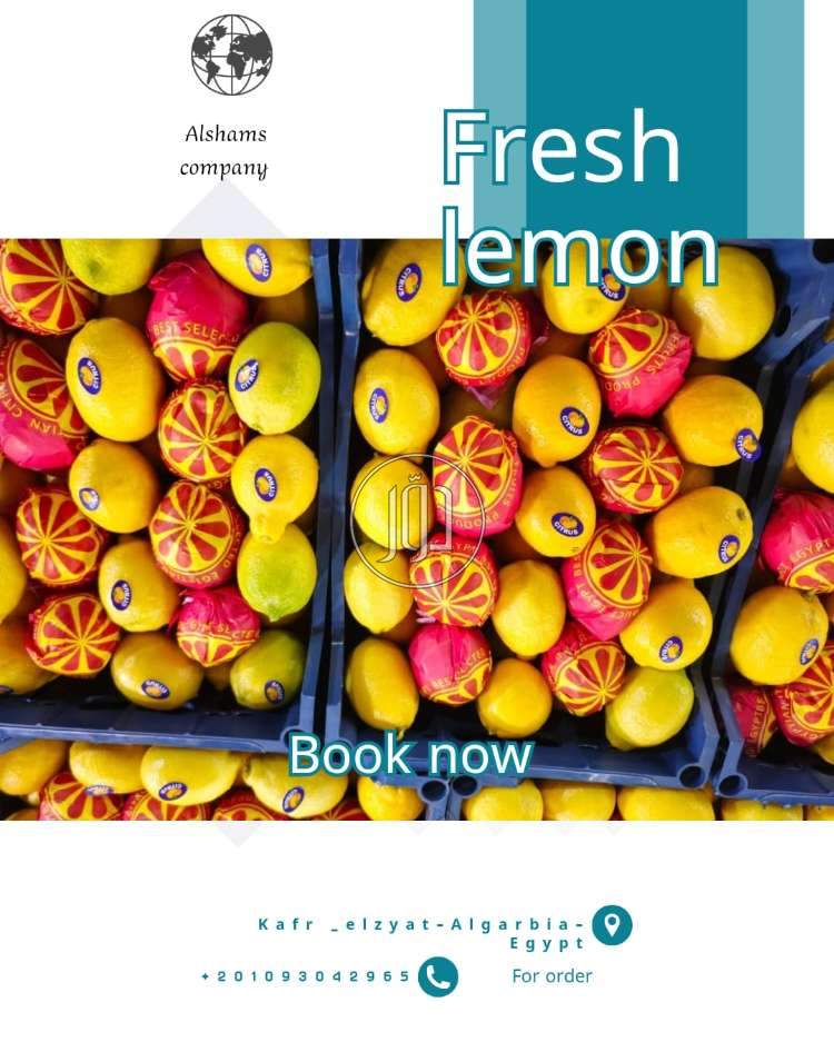 محاصيل زراعية في السعودية - دوّر.كوم