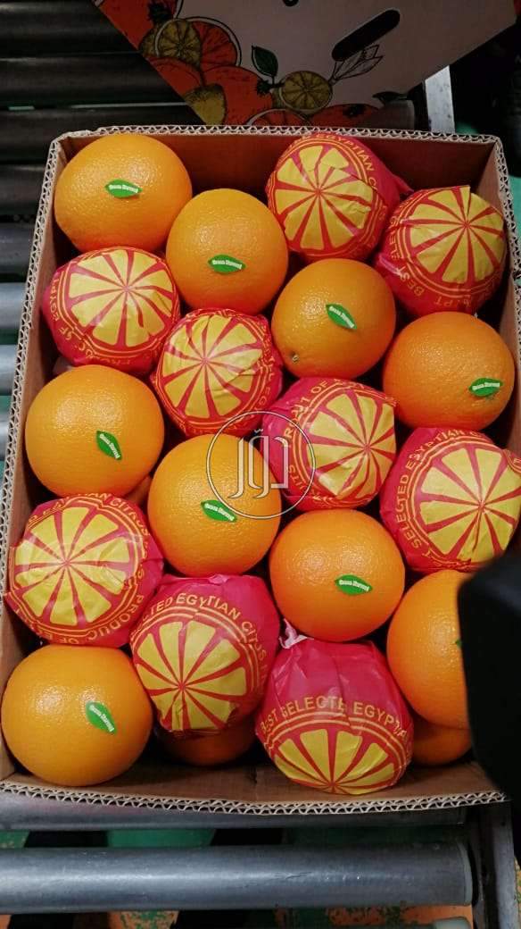 صور محاصيل وبذور زراعية في السعودية - دوّر.كوم