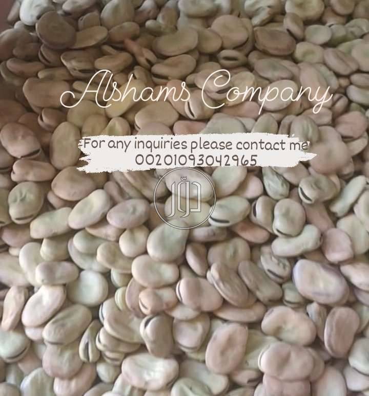 صور محاصيل وبذور زراعية في السعودية - دوّر.كوم