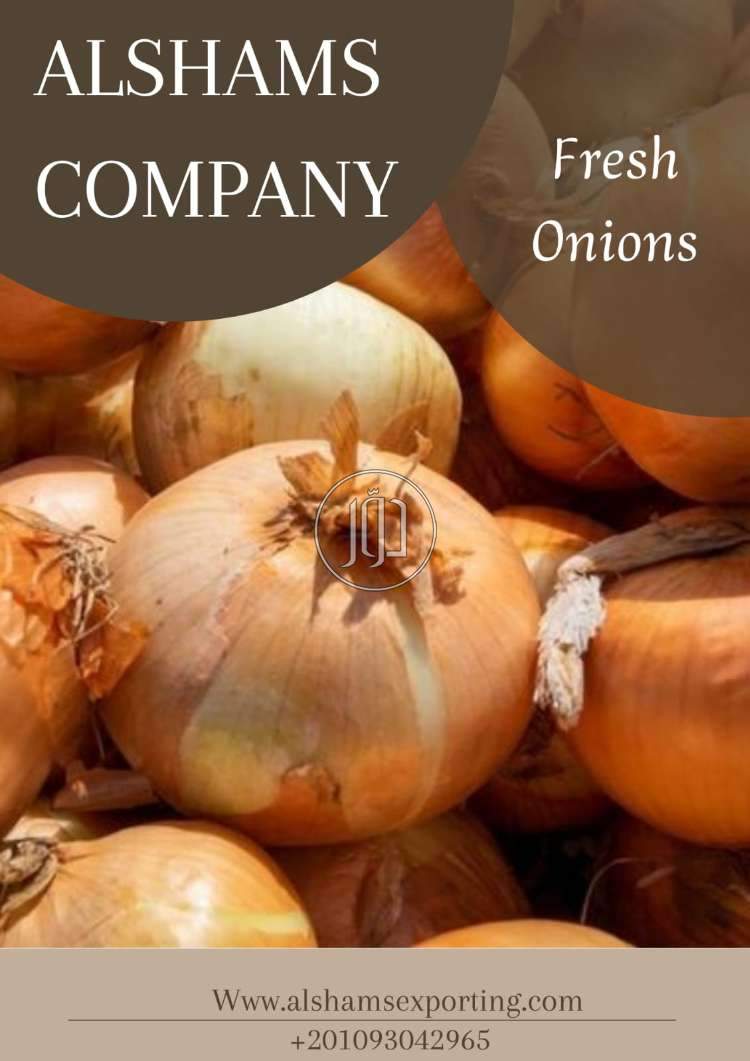 محاصيل زراعية في السعودية