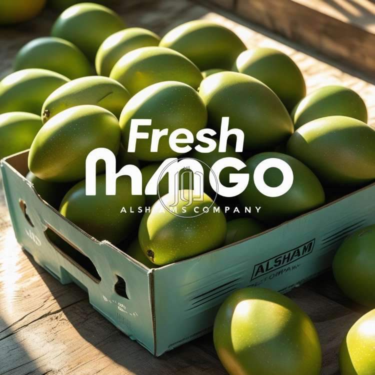 صور محاصيل وبذور زراعية في السعودية - دوّر.كوم