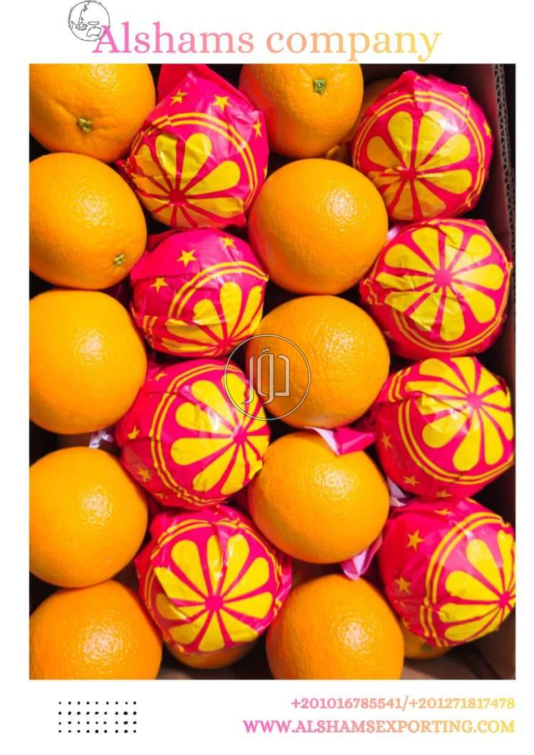 محاصيل زراعية في السعودية