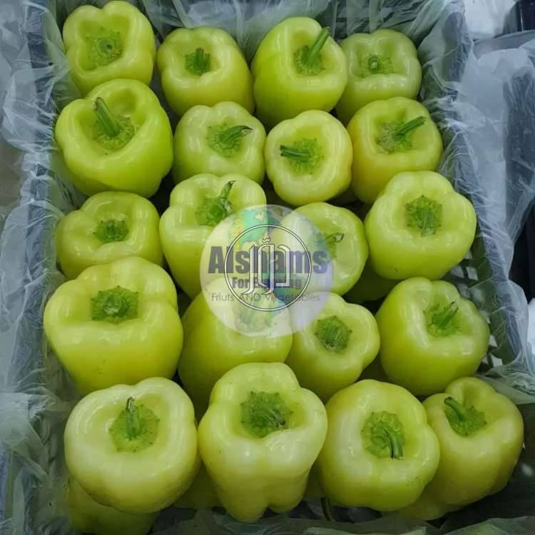 صور محاصيل وبذور زراعية في السعودية - دوّر.كوم