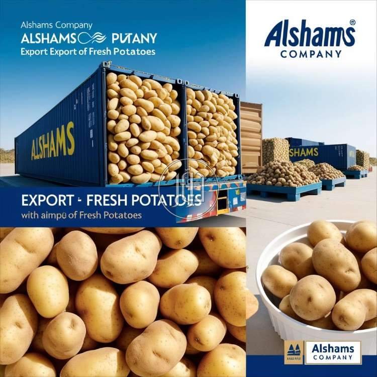 صور محاصيل وبذور زراعية في السعودية - دوّر.كوم