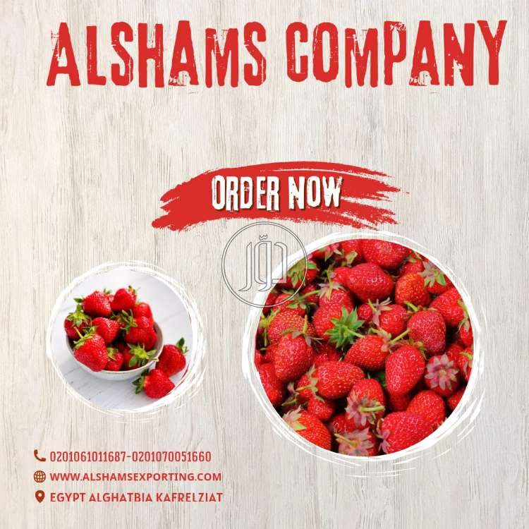 صور محاصيل وبذور زراعية في السعودية - دوّر.كوم