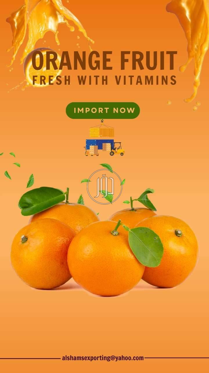 صور محاصيل وبذور زراعية في السعودية - دوّر.كوم