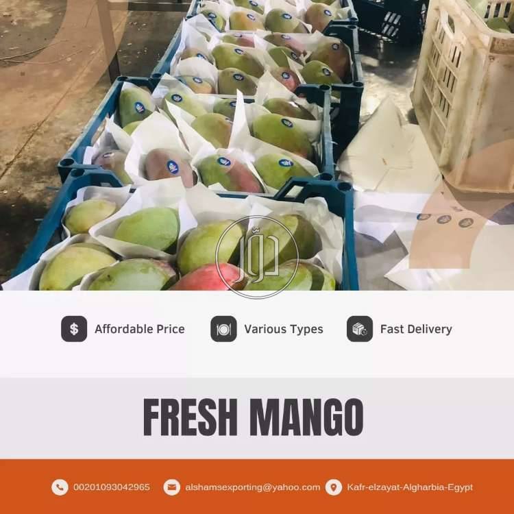 صور محاصيل وبذور زراعية في السعودية - دوّر.كوم