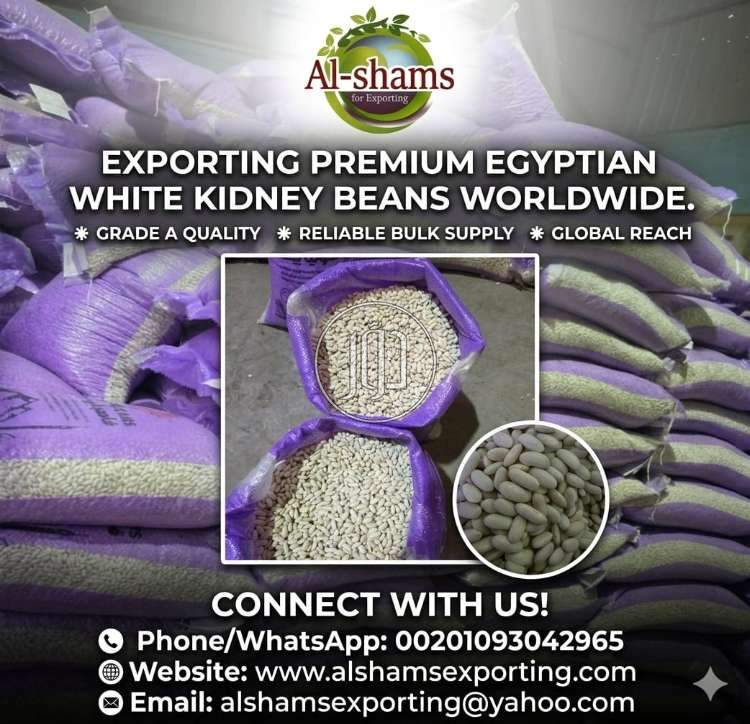 محاصيل زراعية في السعودية - دوّر.كوم