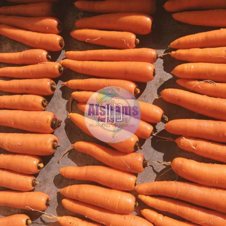 صور محاصيل وبذور زراعية في السعودية - دوّر.كوم