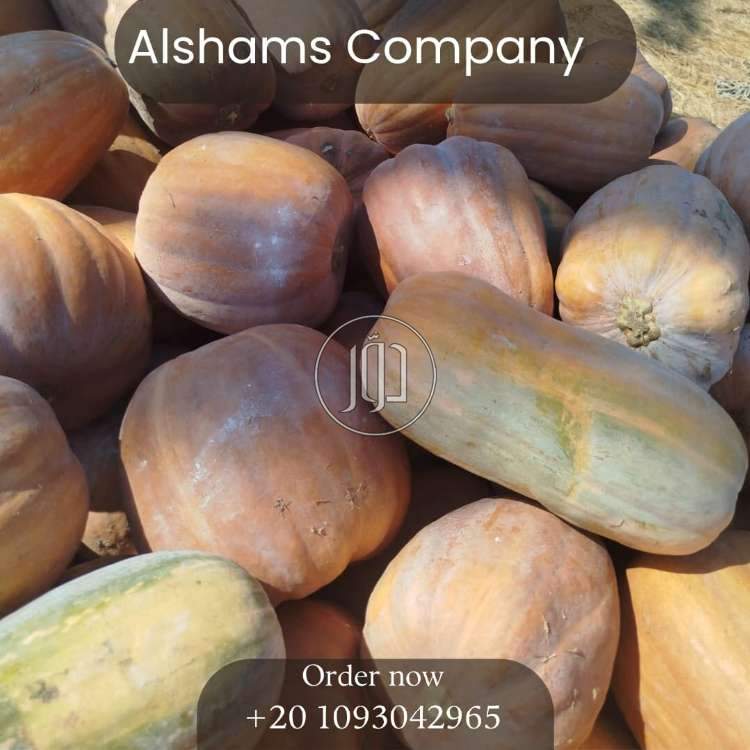 محاصيل زراعية في السعودية