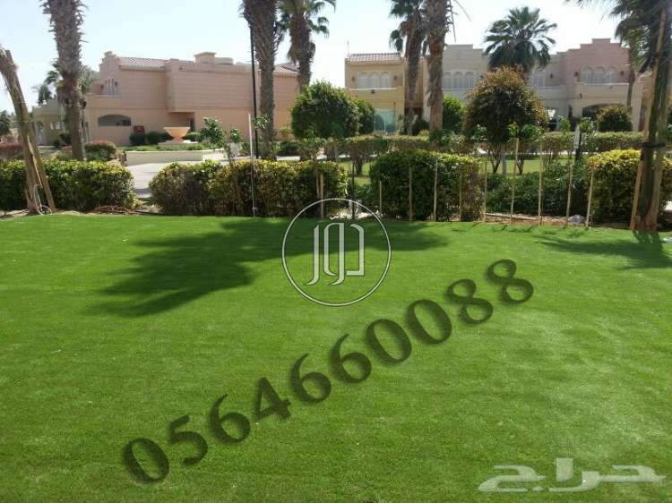 صور محاصيل وبذور زراعية في السعودية - دوّر.كوم