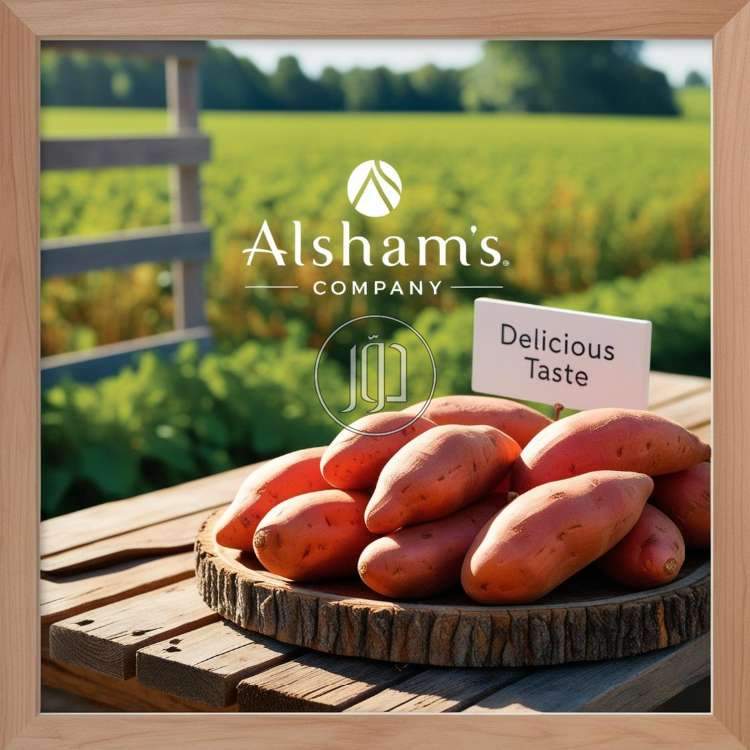 fresh sweet potatoes