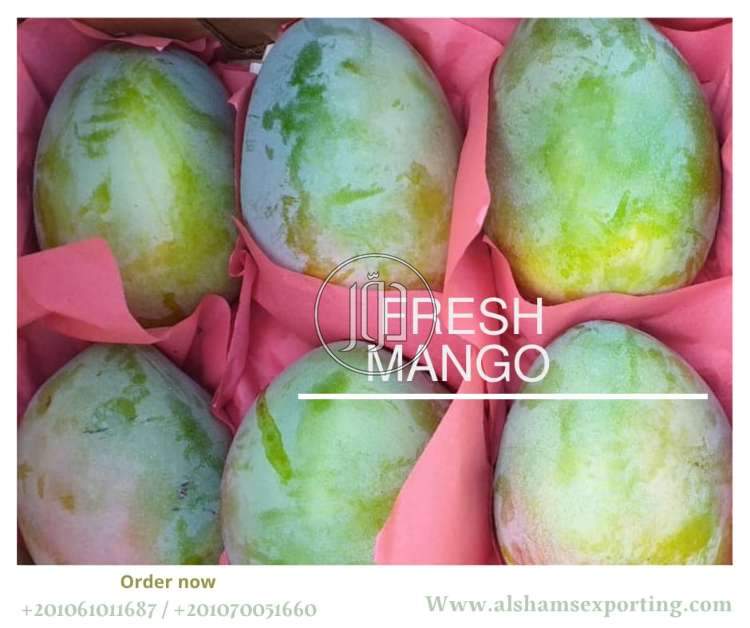 صور محاصيل وبذور زراعية في السعودية - دوّر.كوم