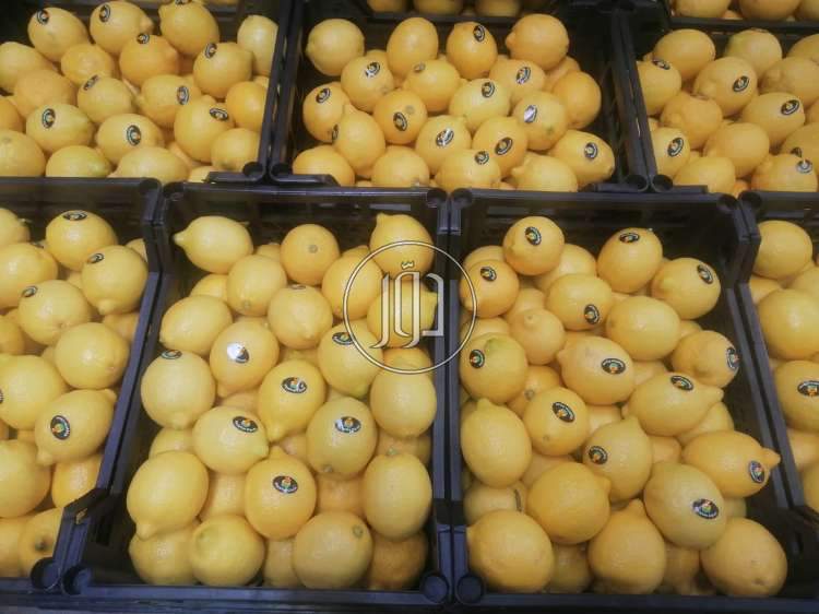 صور محاصيل وبذور زراعية في السعودية - دوّر.كوم