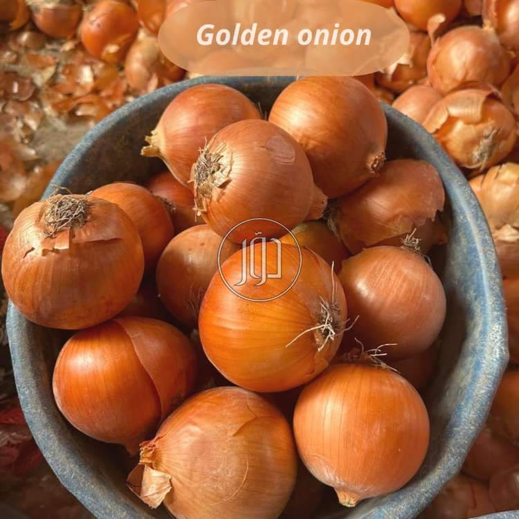 صور محاصيل وبذور زراعية في السعودية - دوّر.كوم