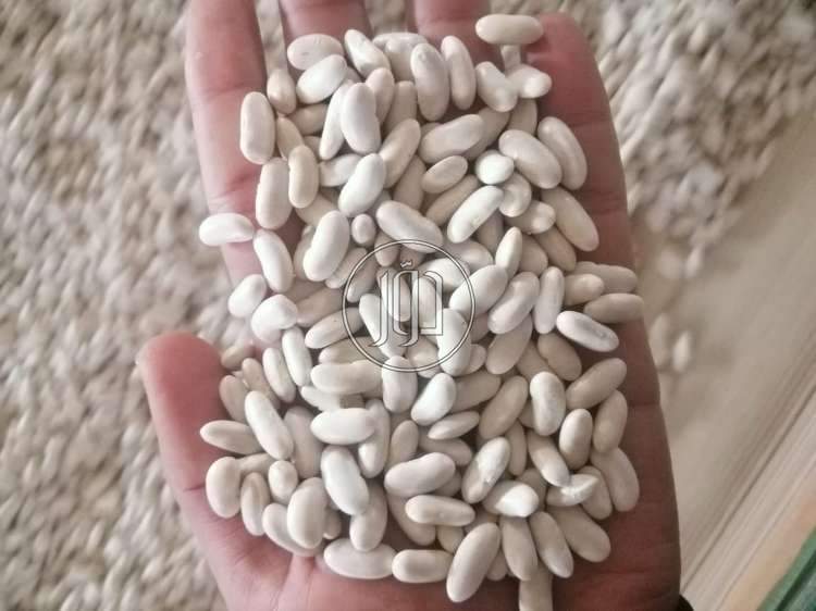 صور محاصيل وبذور زراعية في السعودية - دوّر.كوم