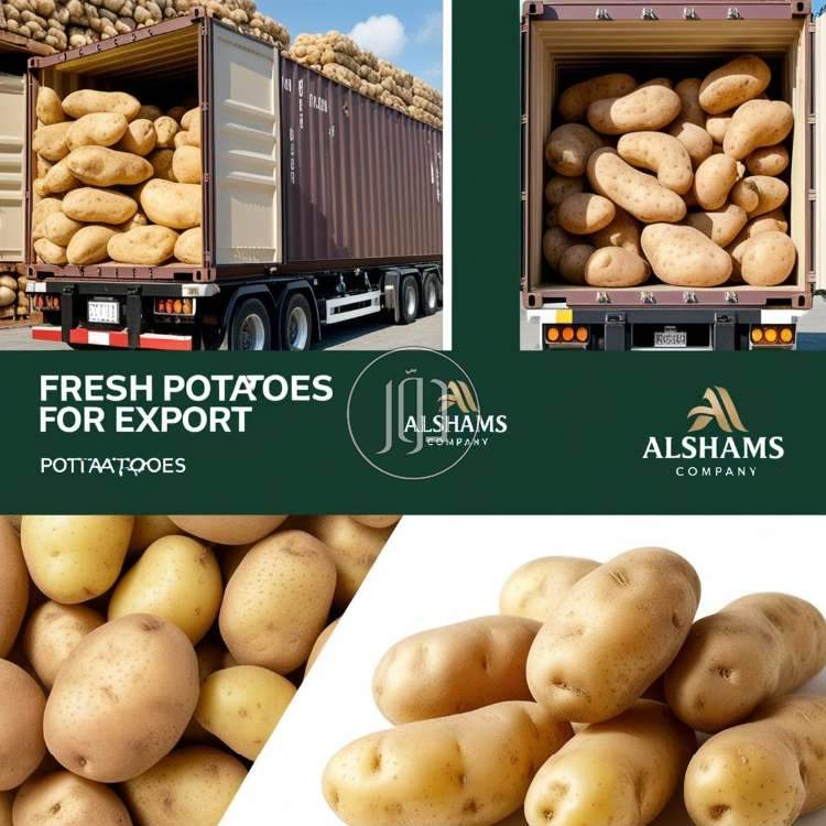 صور محاصيل وبذور زراعية في السعودية - دوّر.كوم