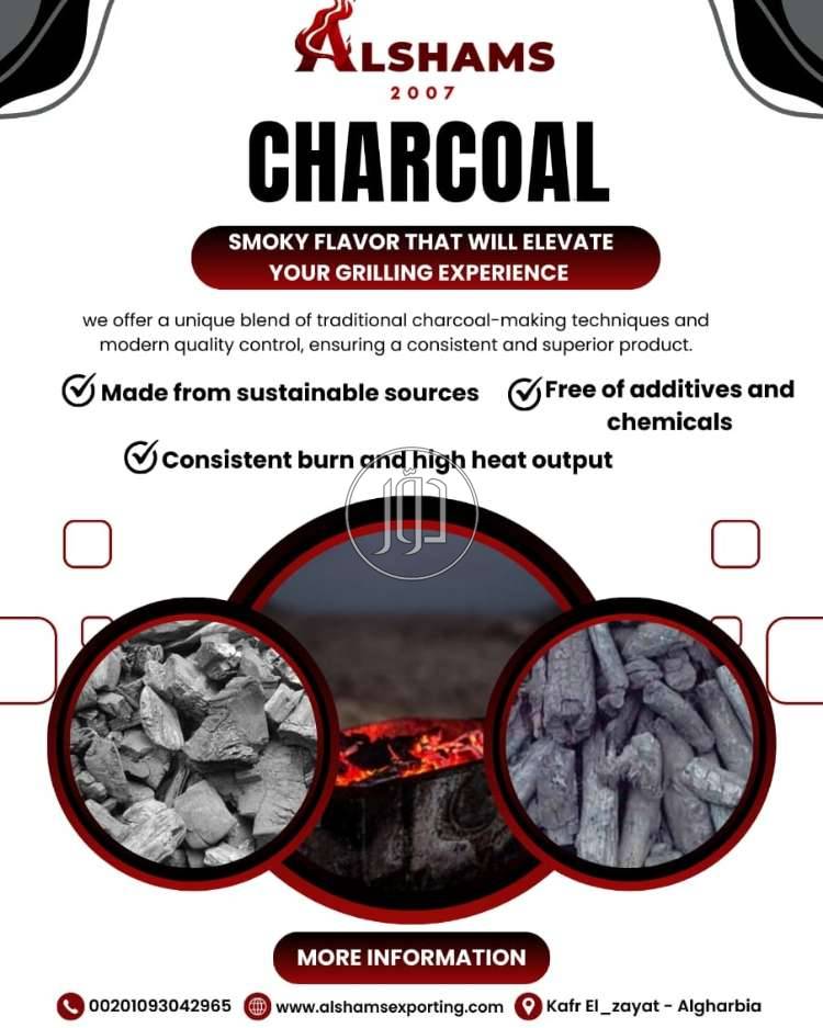 صور محاصيل وبذور زراعية في السعودية - دوّر.كوم