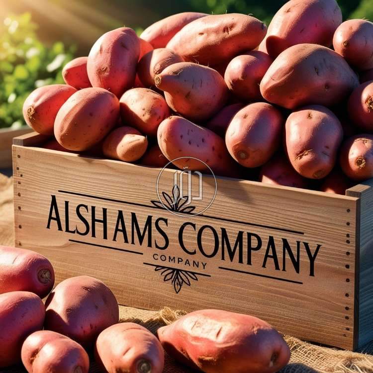 صور محاصيل وبذور زراعية في الكويت - دوّر.كوم