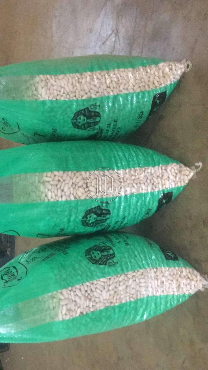 صور محاصيل وبذور زراعية في الكويت - دوّر.كوم