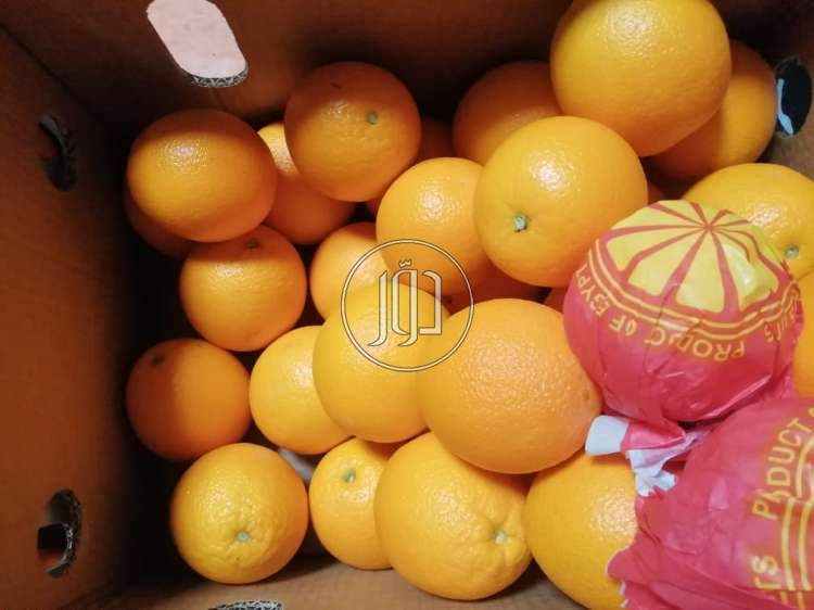 صور محاصيل وبذور زراعية في الكويت - دوّر.كوم