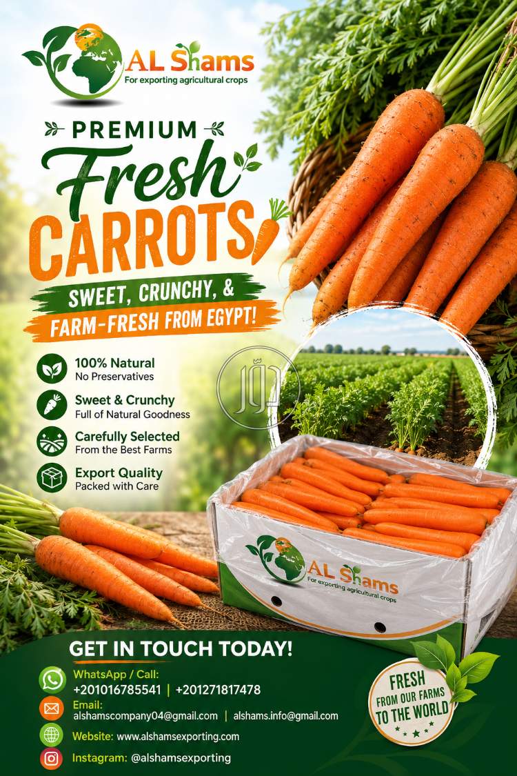 Fresh Carrot