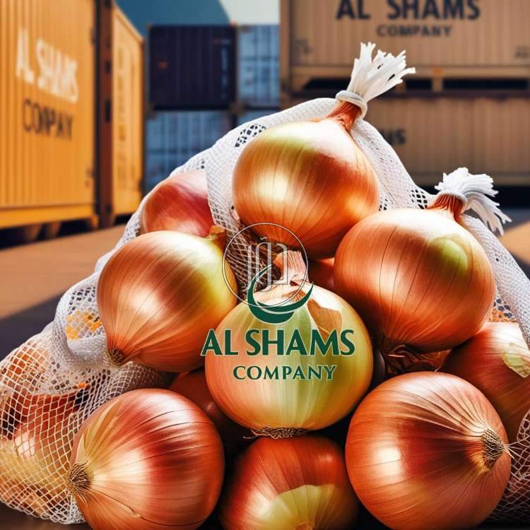 صور محاصيل وبذور زراعية في الكويت - دوّر.كوم