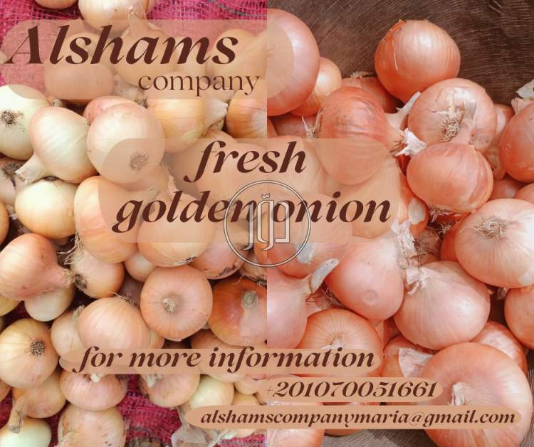 محاصيل زراعية في الكويت - دوّر.كوم