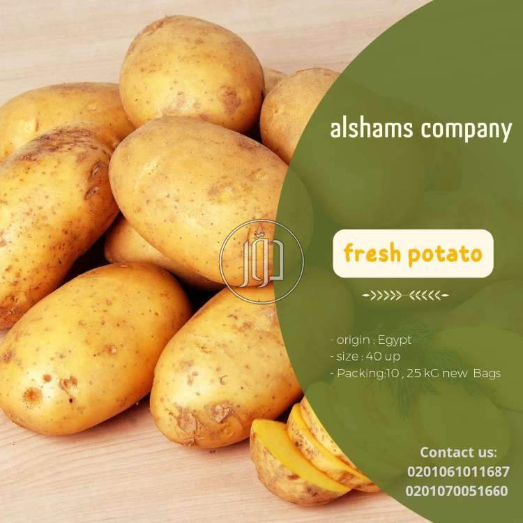 صور محاصيل وبذور زراعية في الكويت - دوّر.كوم