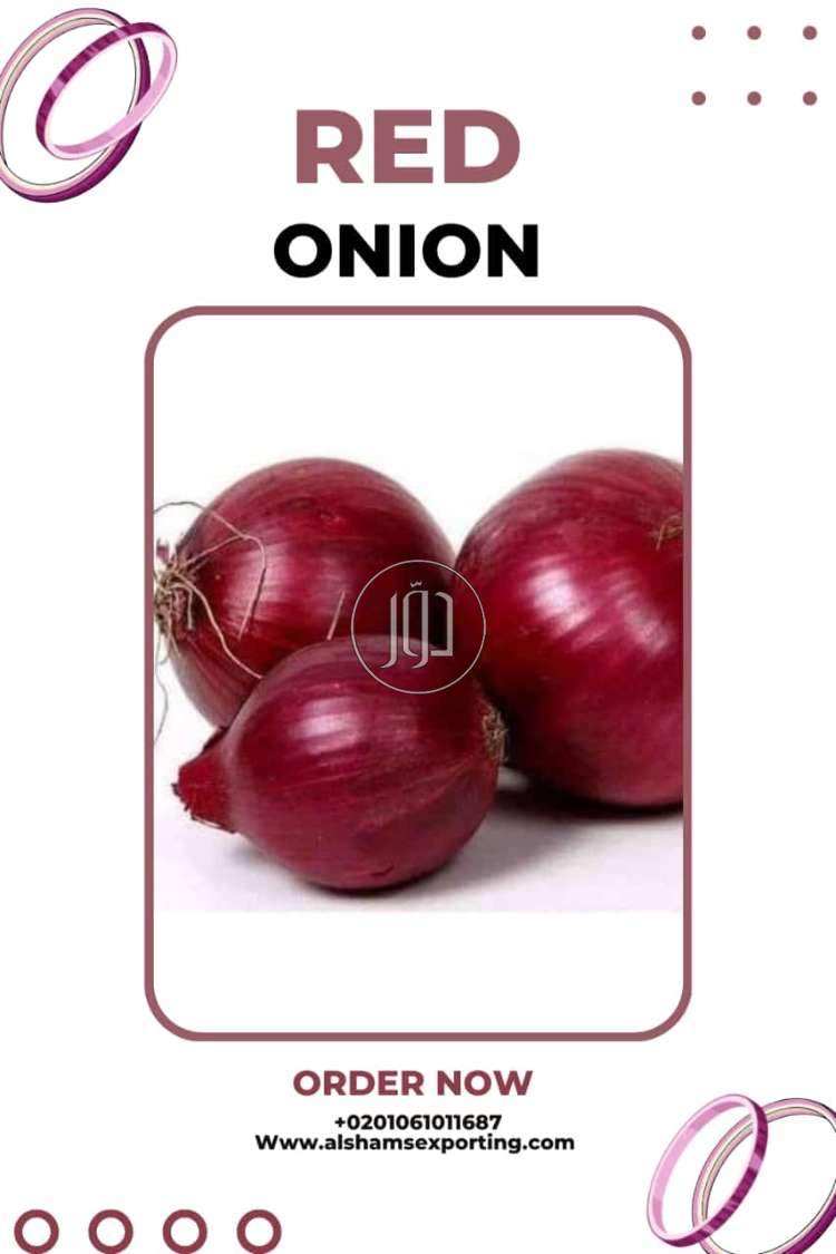 صور محاصيل وبذور زراعية في الكويت - دوّر.كوم