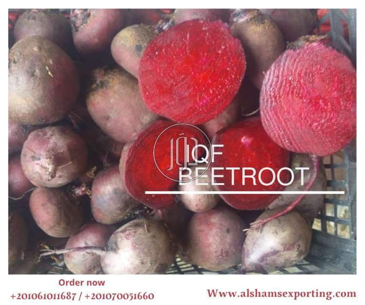 صور محاصيل وبذور زراعية في الكويت - دوّر.كوم