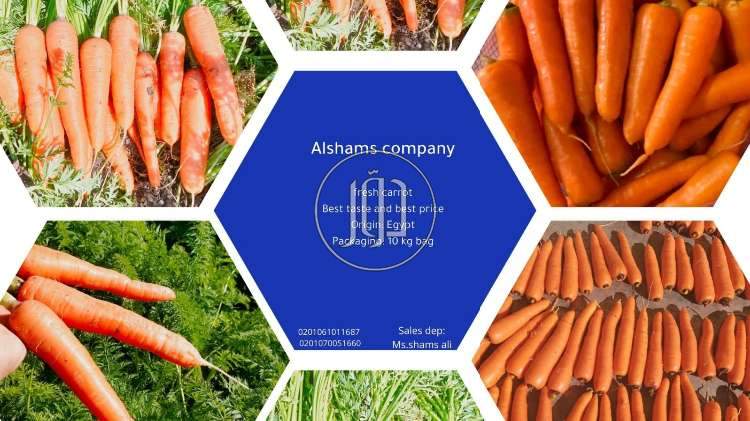 صور محاصيل وبذور زراعية في الكويت - دوّر.كوم