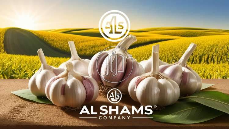 صور محاصيل وبذور زراعية في الكويت - دوّر.كوم