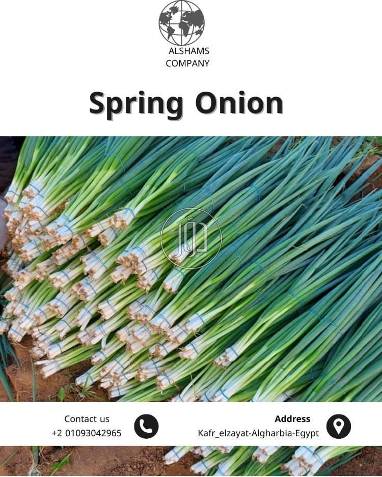 محاصيل زراعية في الكويت - دوّر.كوم