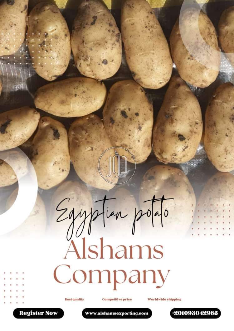 محاصيل زراعية في الكويت