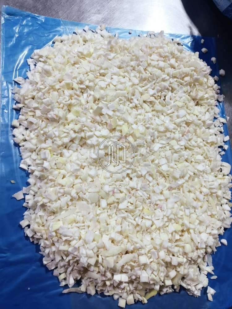 صور محاصيل وبذور زراعية في الكويت - دوّر.كوم