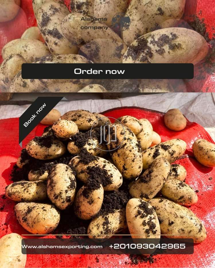 محاصيل زراعية في الكويت