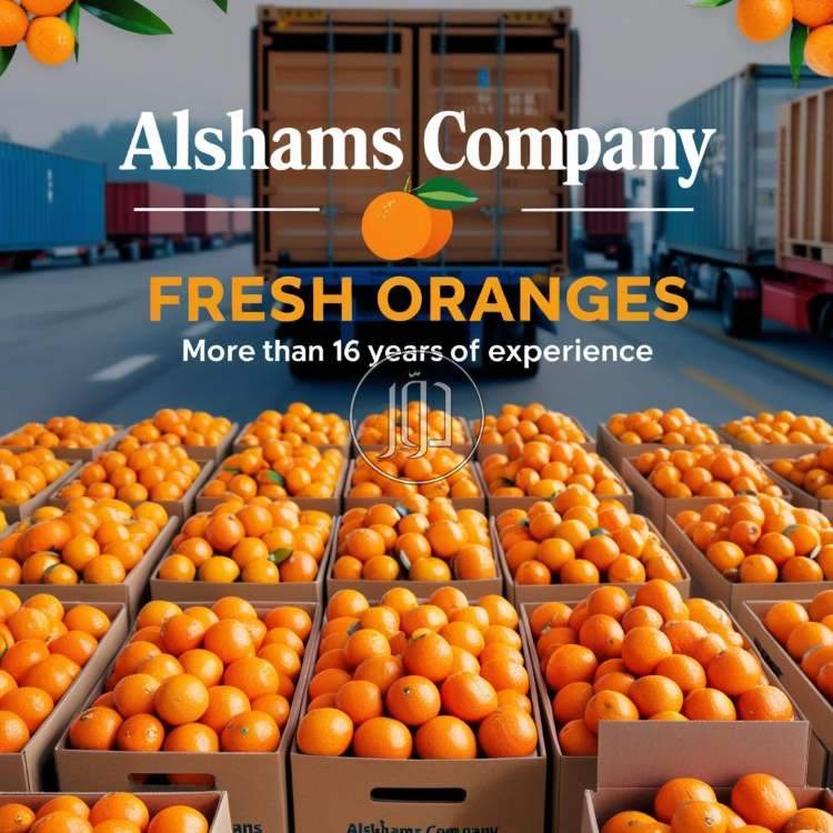 صور محاصيل وبذور زراعية في الكويت - دوّر.كوم