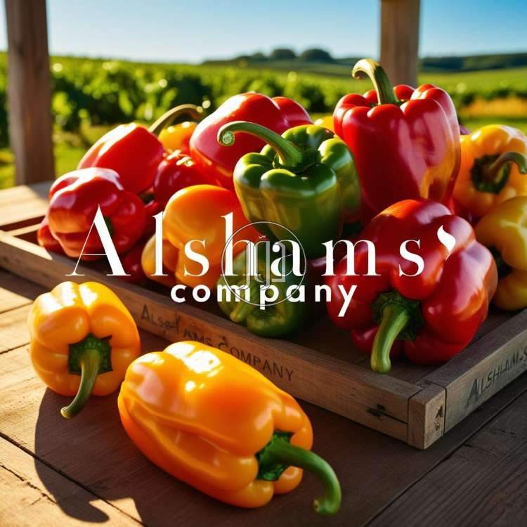 صور محاصيل وبذور زراعية في الكويت - دوّر.كوم