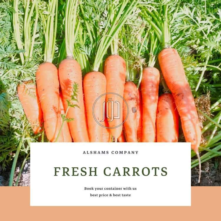 صور محاصيل وبذور زراعية في الكويت - دوّر.كوم